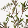 Berry Spray | Green