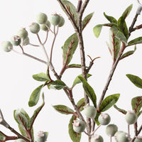 Berry Spray | Green