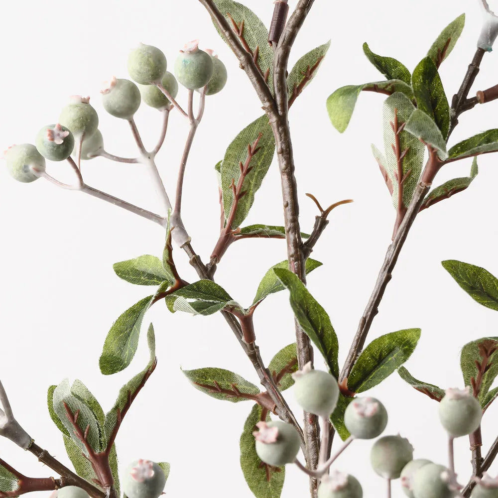 Berry Spray | Green