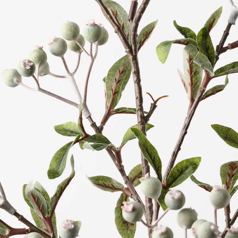 Berry Spray | Green