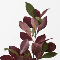 Pomegranate Leaf Spray Burgundy Green