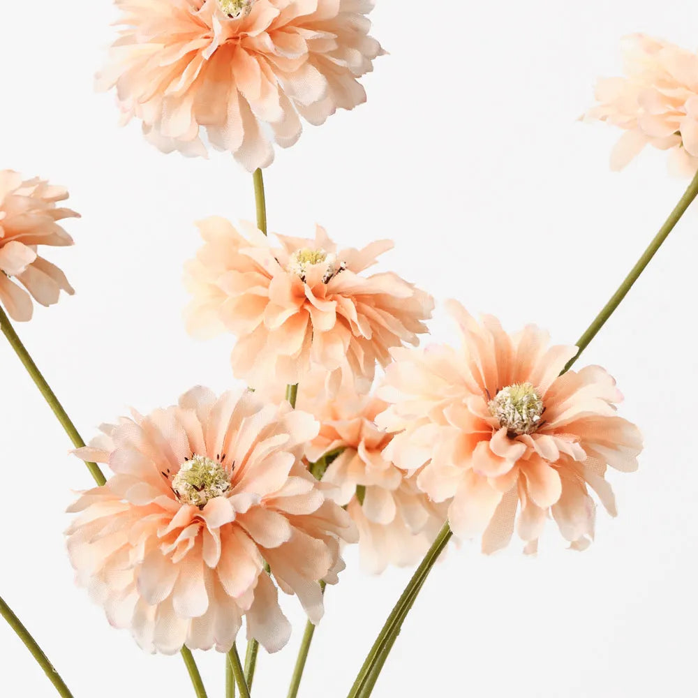 Zinnia Bundle | Peach