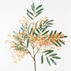 Seed Spray | Yellow Pink