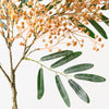 Seed Spray | Yellow Pink