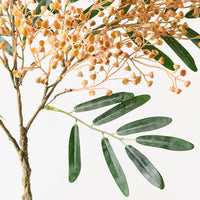 Seed Spray | Yellow Pink