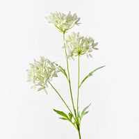 Agapanthus Spray Light Green