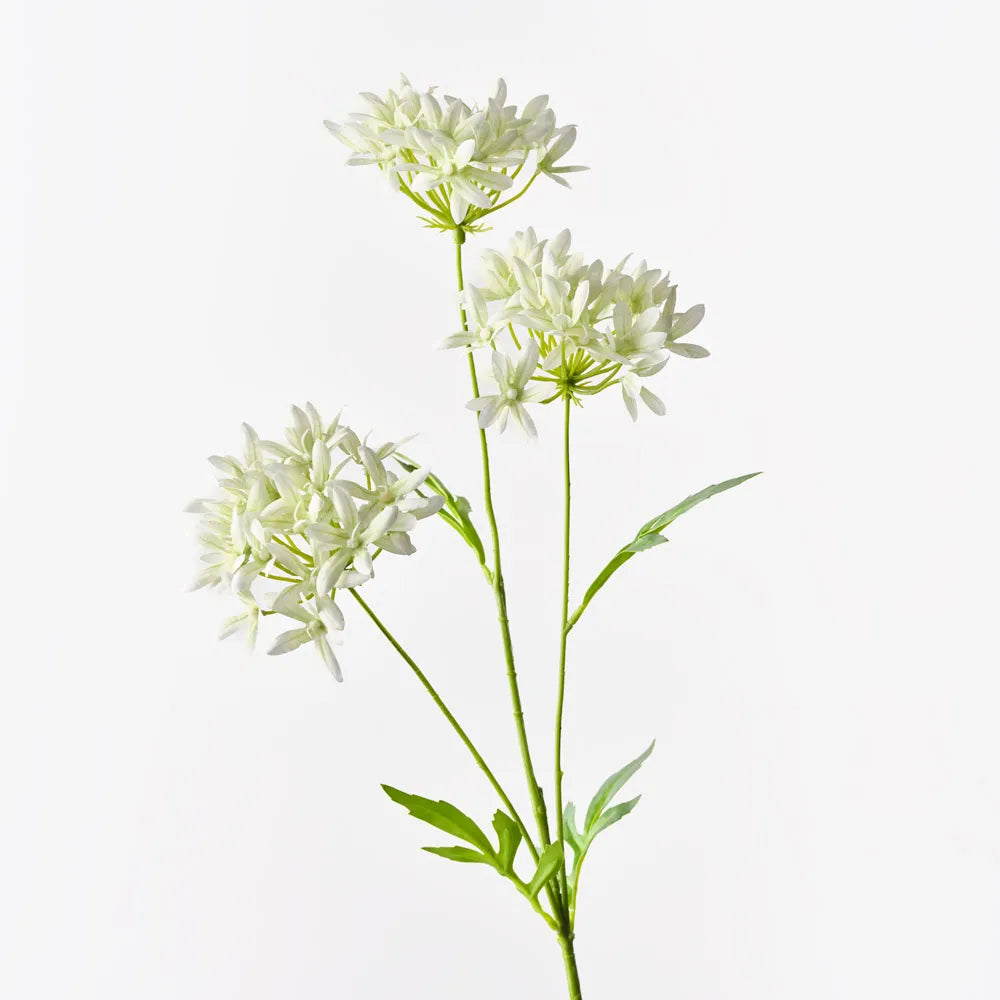 Agapanthus Spray Light Green