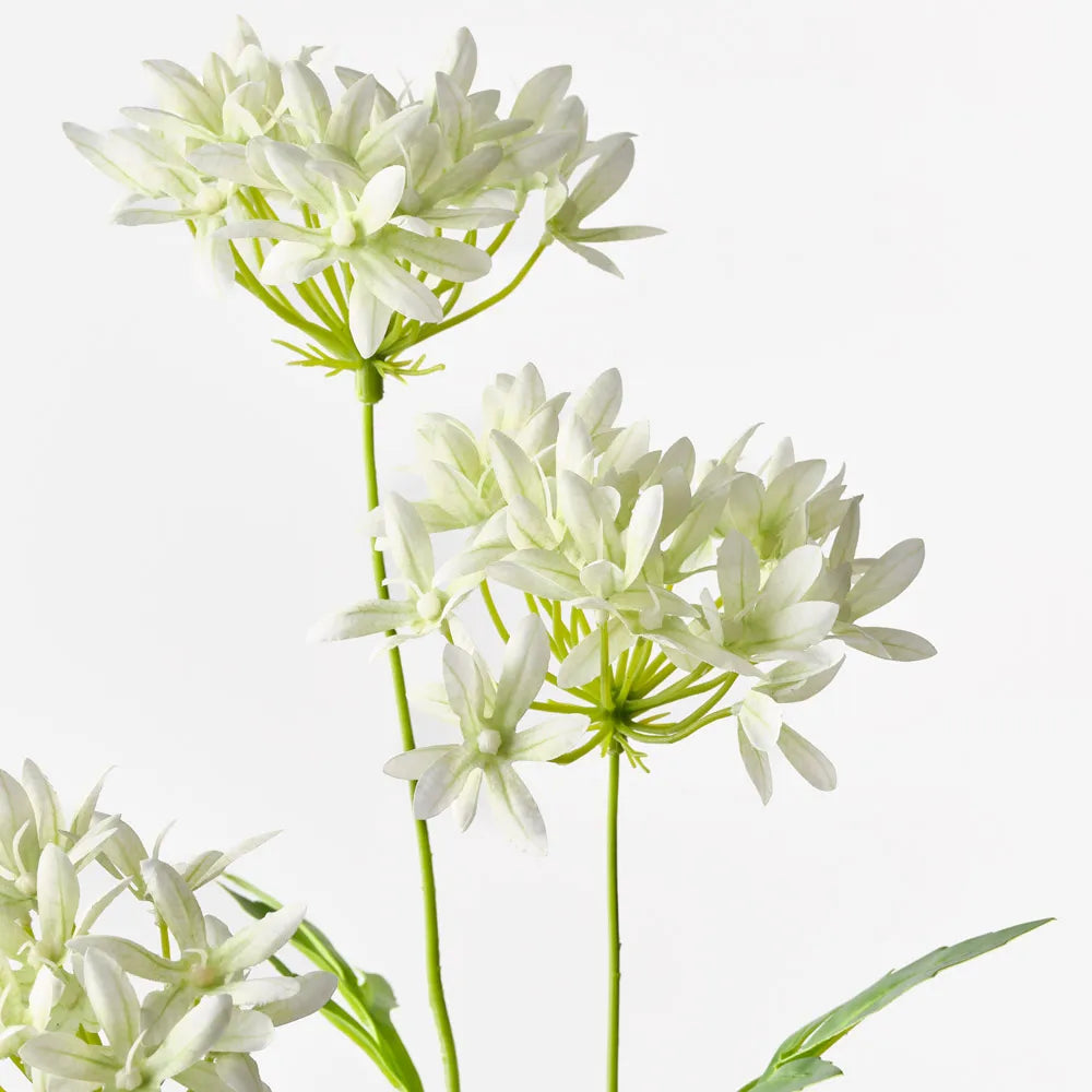 Agapanthus Spray Light Green