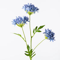 Agapanthus Spray Royal Blue