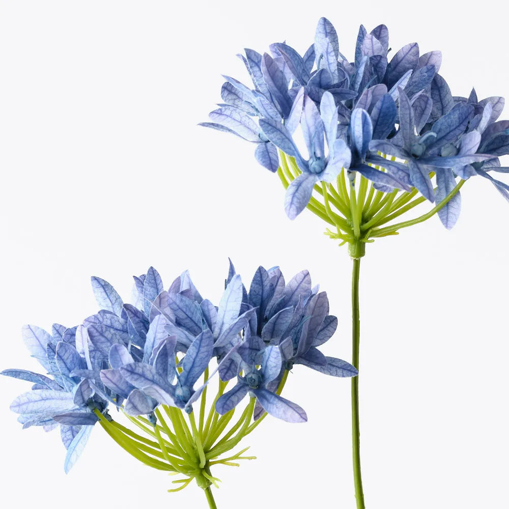 Agapanthus Spray Royal Blue