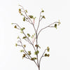 Pea Leaf Spray | Green Brown