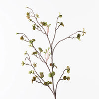 Pea Leaf Spray | Green Brown