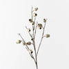 Eucalyptus Pod Spray | Ivory