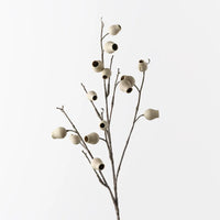 Eucalyptus Pod Spray | Ivory
