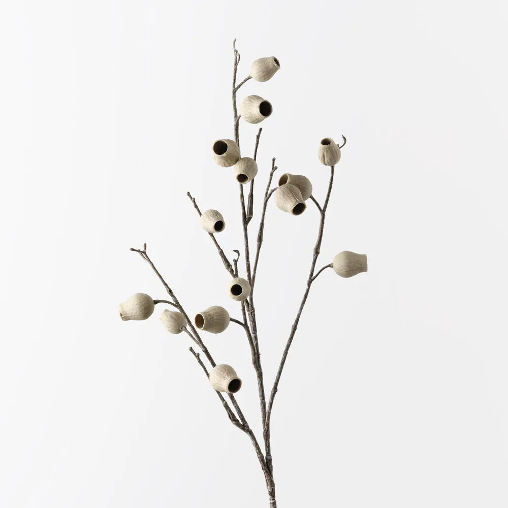 Eucalyptus Pod Spray | Ivory