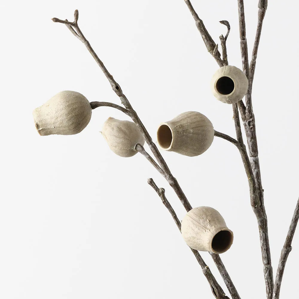 Eucalyptus Pod Spray | Ivory