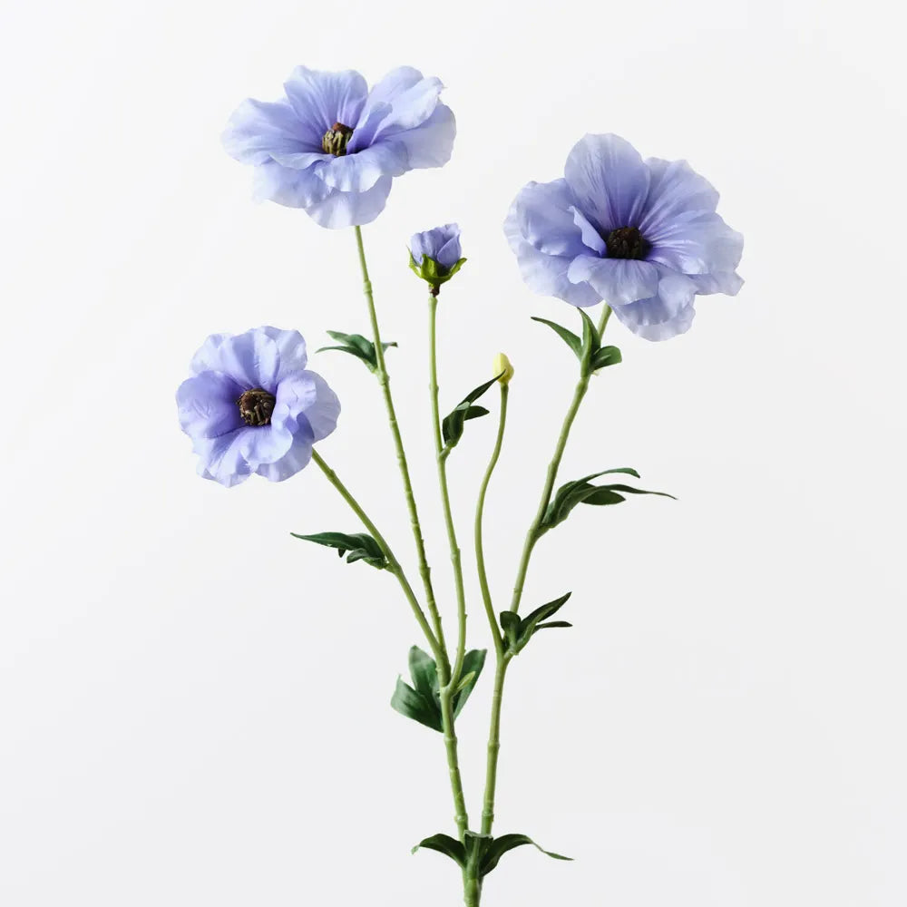 Ranunculus Japanese Spray | French Blue