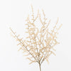 Wild Asparagus Fern Bush | Ivory