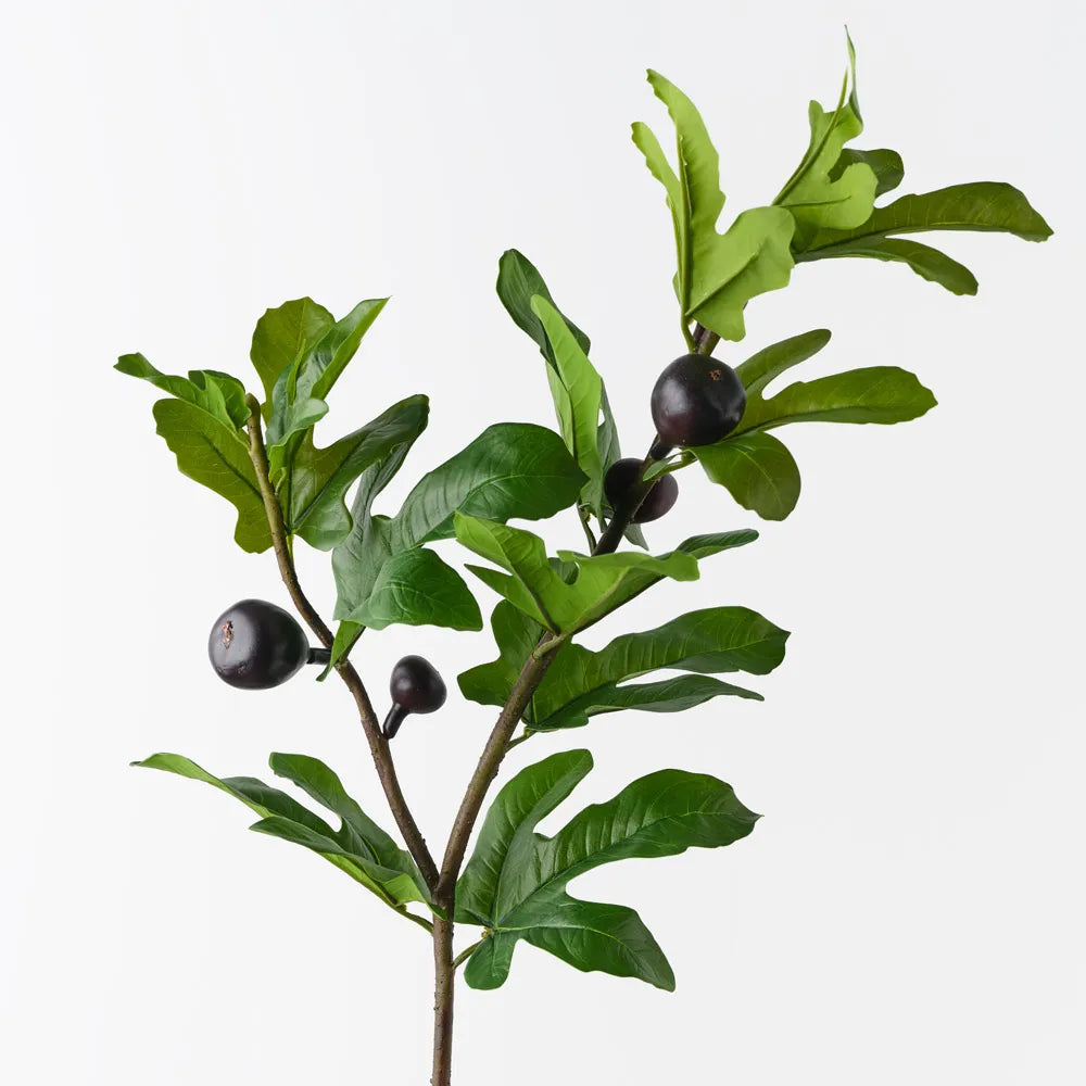 Fig Spray | Purple
