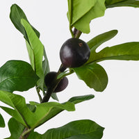 Fig Spray | Purple