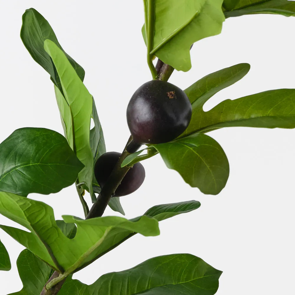 Fig Spray | Purple