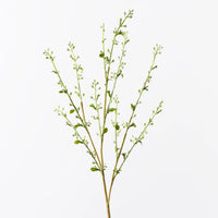 Spirea Bud Spray | White