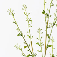 Spirea Bud Spray | White