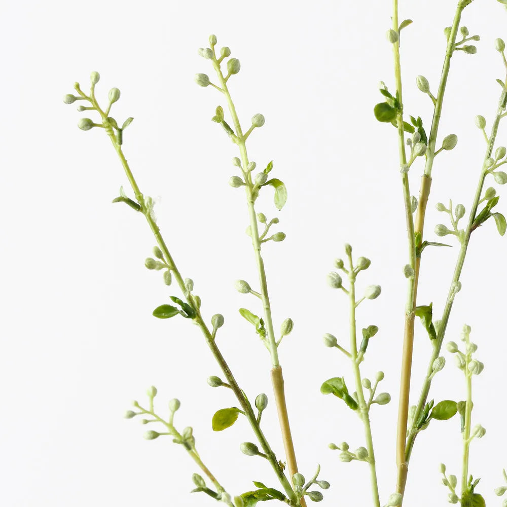 Spirea Bud Spray | White