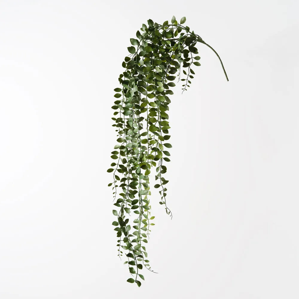 Fern Button Hanging Bush | Dark Green