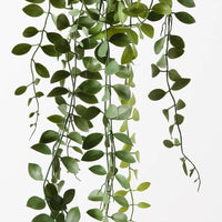Fern Button Hanging Bush | Dark Green