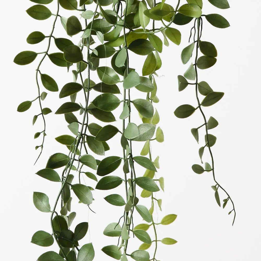 Fern Button Hanging Bush | Dark Green