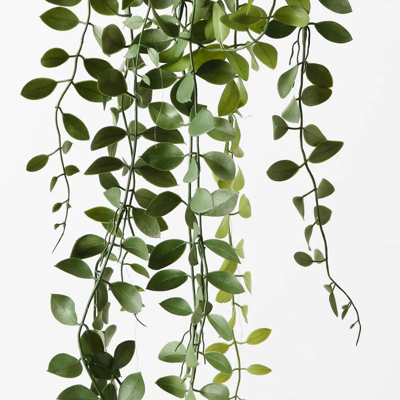 Fern Button Hanging Bush | Dark Green