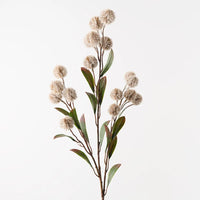 Thistle Spray | Sand