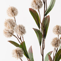 Thistle Spray | Sand