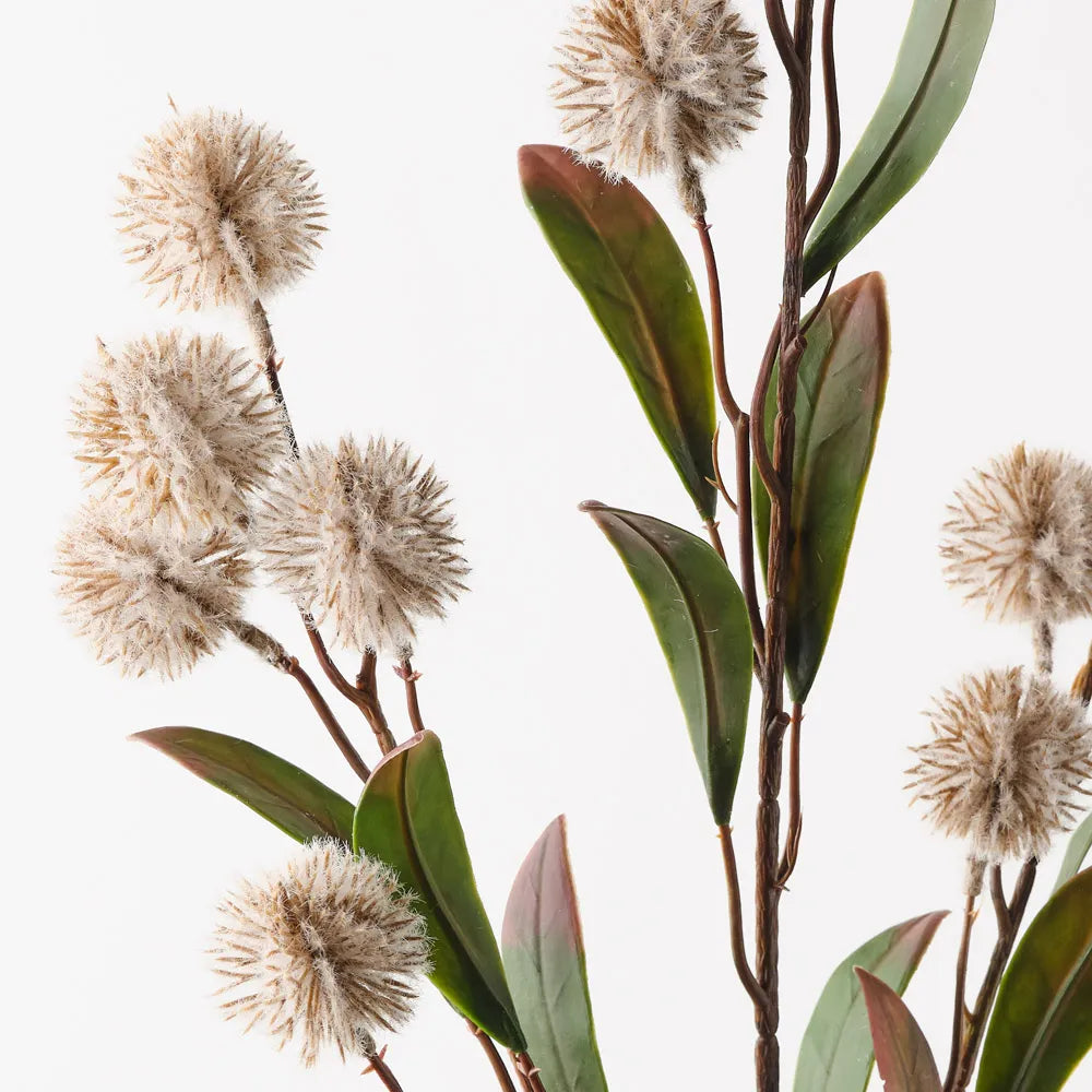 Thistle Spray | Sand