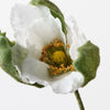 Poppy Bud  | White
