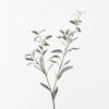Olive Leaf Spray | Grey Green