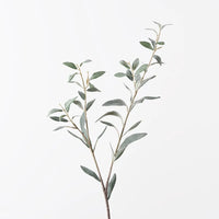 Olive Leaf Spray | Grey Green