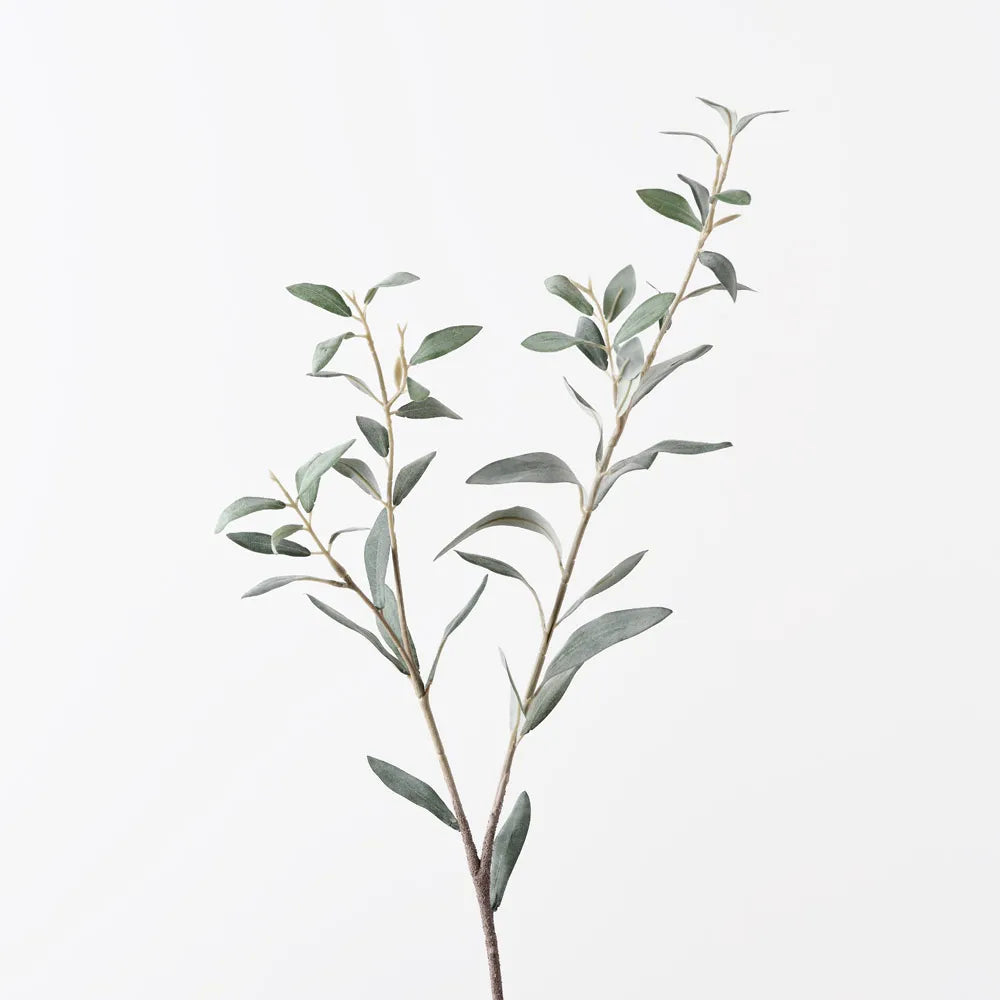 Olive Leaf Spray | Grey Green