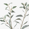 Olive Leaf Spray | Grey Green