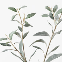 Olive Leaf Spray | Grey Green