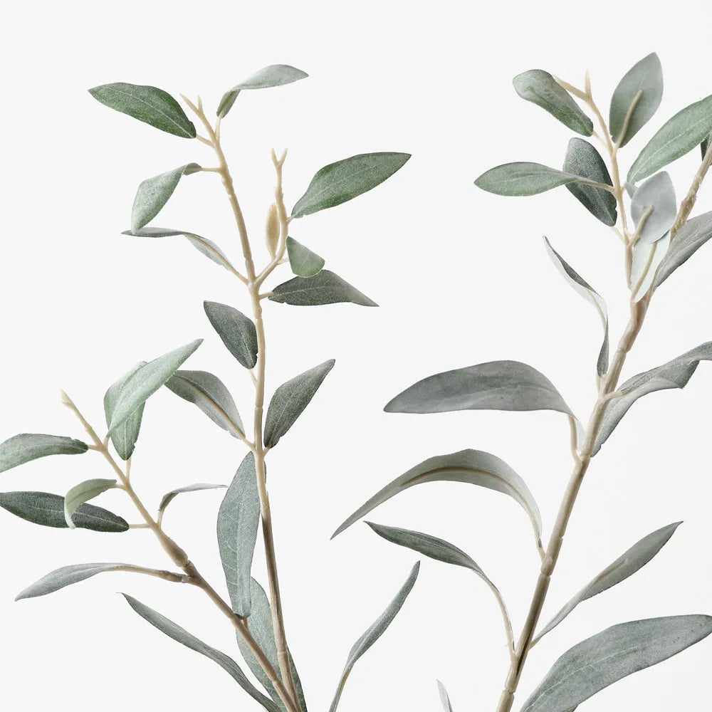 Olive Leaf Spray | Grey Green