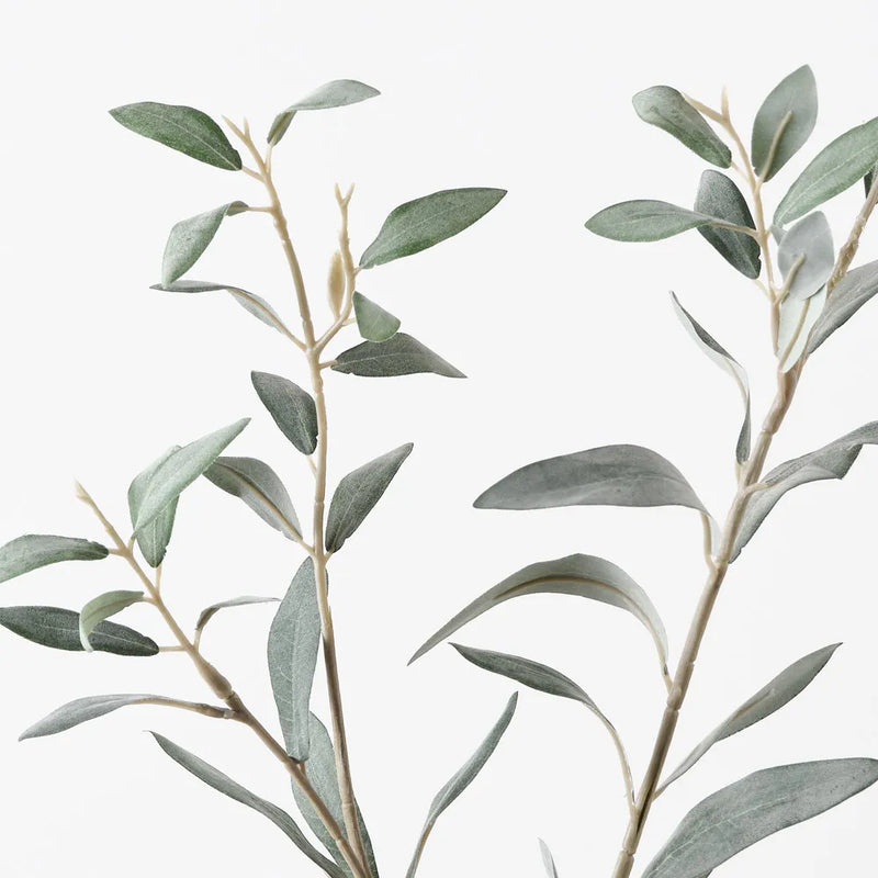 Olive Leaf Spray | Grey Green