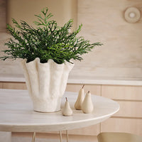 Elvi Pear | Putty