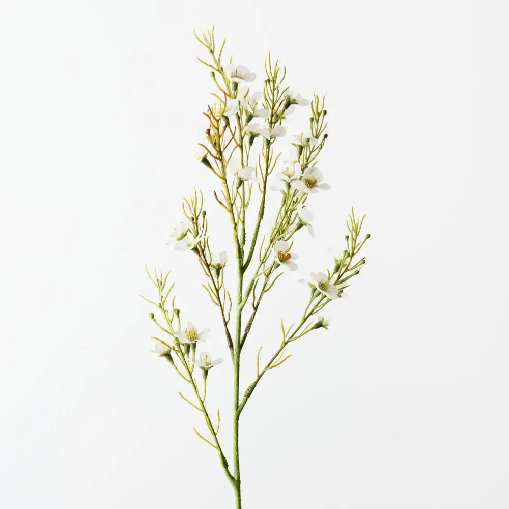 Wax Flower White 70cm