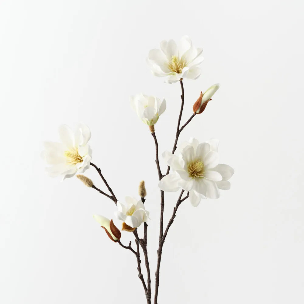 Magnolia Tree Spray White