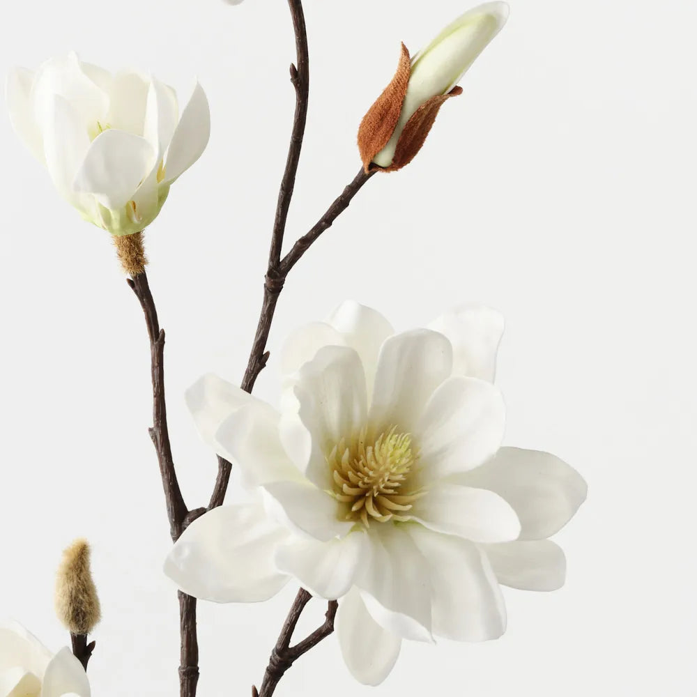 Magnolia Tree Spray White