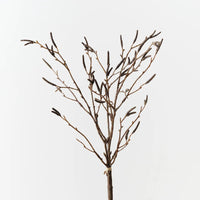 Birch Berry Bundle | Brown