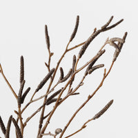 Birch Berry Bundle | Brown