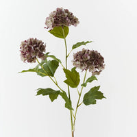 Hydrangea Spray | Purple Green
